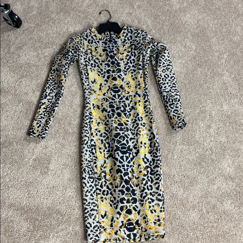 Zara cheetah print dress.